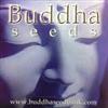 Buddha Seed Bank