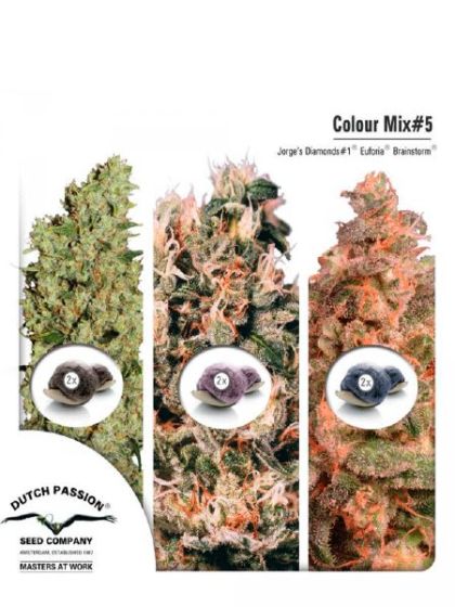 Colour Mix Pack #5 Seeds