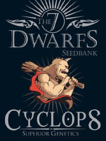 Cyclops Seeds - 5