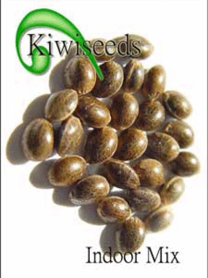 Indoor Mix Seeds 