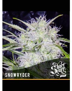Snowryder Seeds