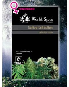 World Of Seeds - Sativa Landraces Collection Seeds - 8