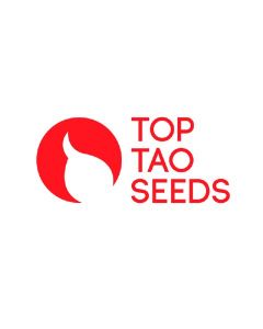 Early Sativa 10 Seeds