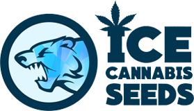 ICE Cannabis Seeds