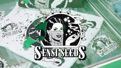 Everything you need to know about Sensi Seeds